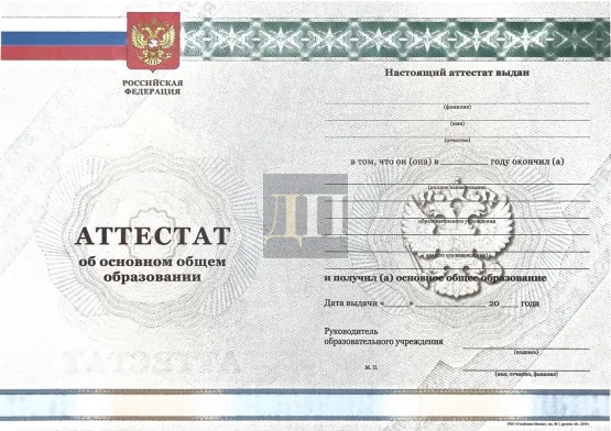 Аттестат за 9 класс СпецБланк с 2010 по 2013 СпецБланк годы