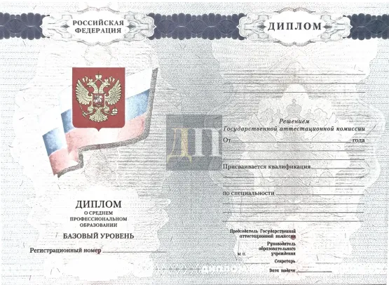 Диплом о среднем образовании с 2008 по 2010 годы
