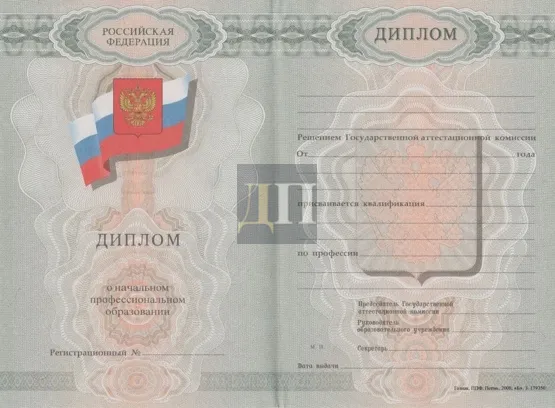 Диплом ПТУ с 2009 по 2010 годы