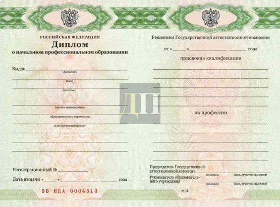 Диплом ПТУ с 2014 по 2026 годы