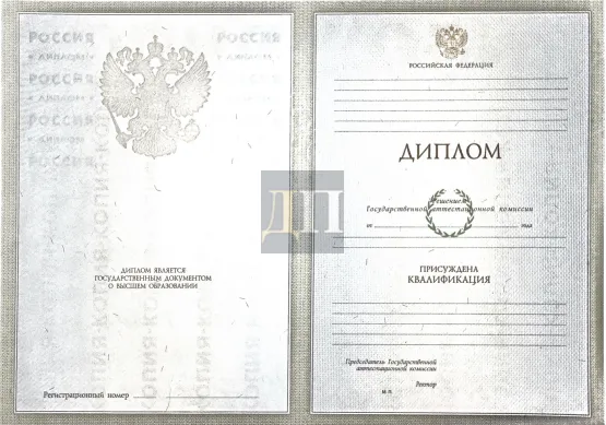 Диплом специалиста с 2004 по 2008 годы
